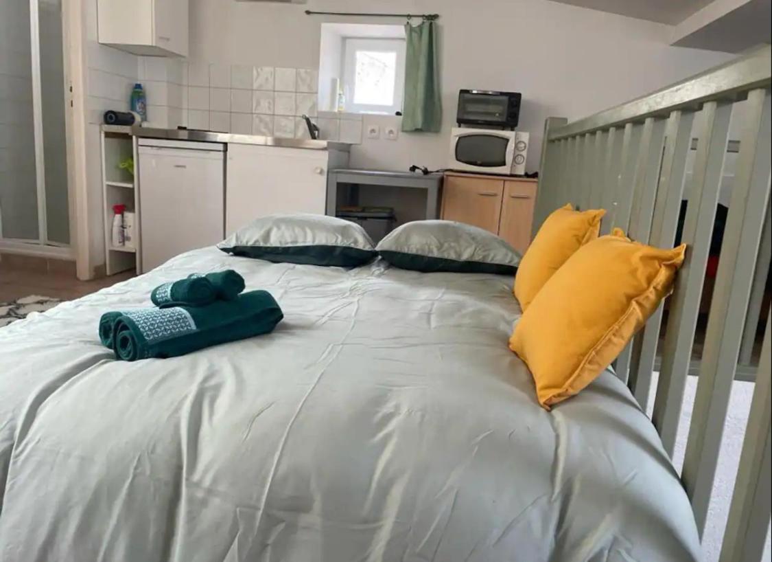 Apartamento Face Au Canal Du Midi Carcasona