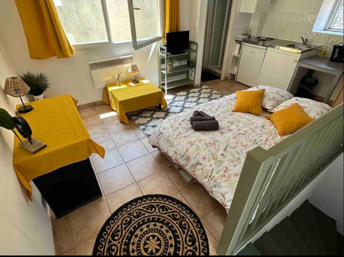 Face Au Canal Du Midi Apartamento Carcasona